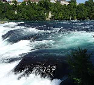 Am Rheinfall