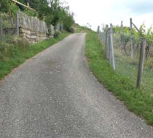 Wanderweg Märchensee Runde