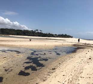 Bootstour auf dem Tiwi River
