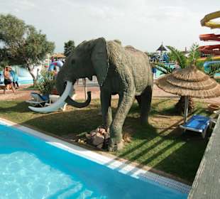 Aqua Park in unmittelbarer Nähe