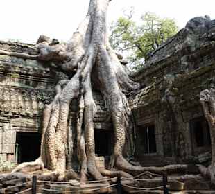 Angkor Wat
