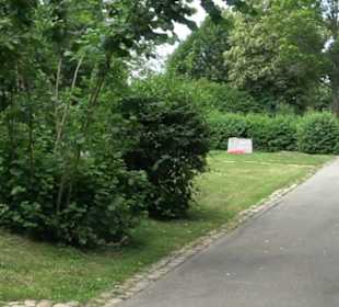 Friedhof Dußlingen
