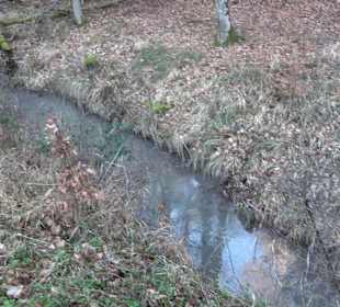 Ochsenweiher Rundweg