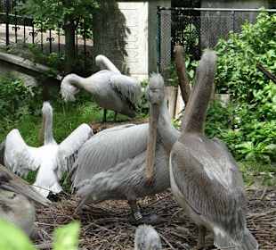 Rundgang im Tierpark