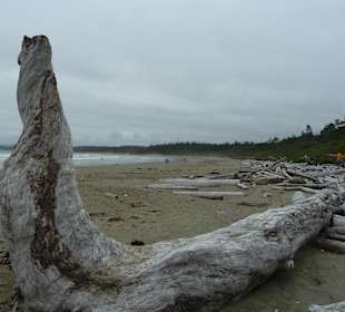Wickaninnish Beach 