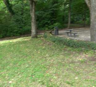 Aussichtspunkt Hasenberganlage