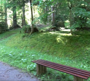 Waldfriedhof Altensteig