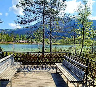 Wildsee