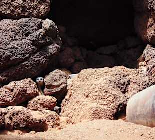 Oasispark - Juli 2015