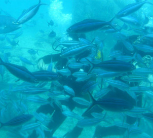 Blick aus dem U-Bott