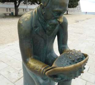 Denkmal Spiridion Brusina