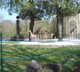 Tierpark Hellabrunn