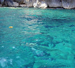 Meer
