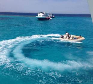 Delfintour Couchboot