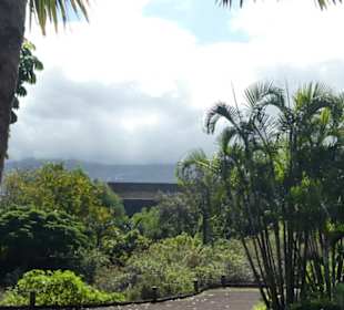 Unterwegs im Taoro-Park