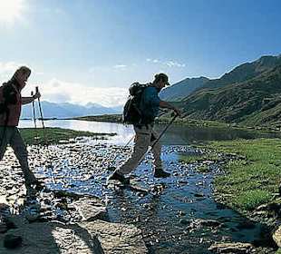 Kühtai Umgebung Sommer Almidylle