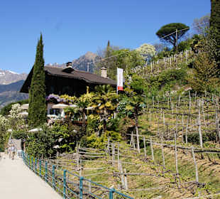 Herrliche und unzählige Spazierwege