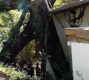 Sapadere Su Degirmeni Piknik Restaurant in Alanya