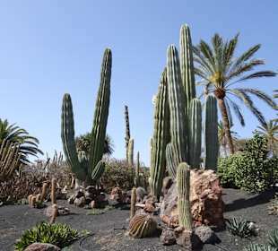 Kakteen- Park