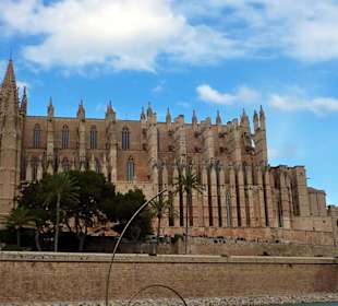 Palma