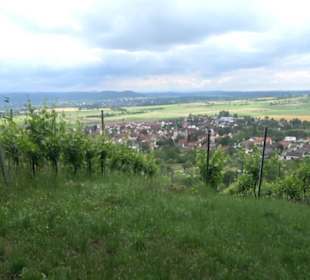 Wanderweg - Alter Steinbruch Pfaffenberg Runde