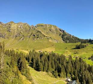 Ausblick 