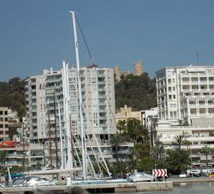 Hafen von Palma
