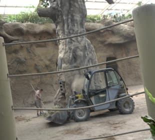Zoo Heidelberg