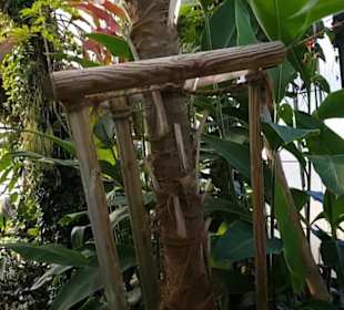 Botanischer Garten 