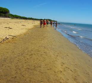 Fester Strand