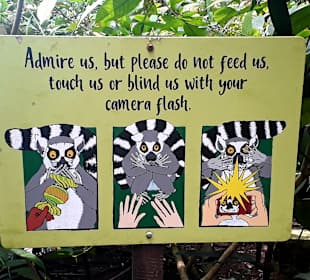 Singapur Zoo
