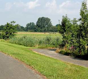 Impressionen aus dem Park Links der Weser