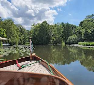 Bürgerpark und Stadtwald