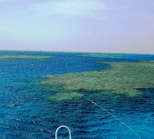 Mit Oototo zum Zweiten