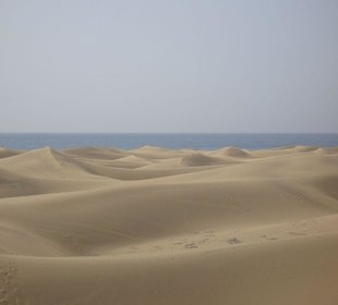 Dünen von Maspalomas