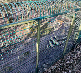 Zoo Landau in der Pfalz