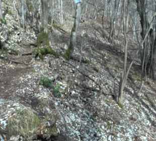 Wasserfallsteig