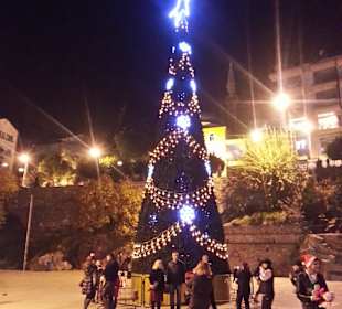 Riesiger Tannenbaum am Hafen