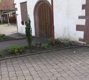Evangelische Marienkirche Beihingen