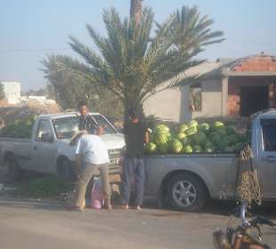 Obst und Gemüse in Massen