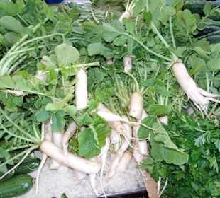 Rundgang über den Meraner Freitagsmarkt