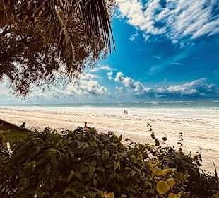 Strand am Papillon Lagoon Reef