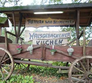 Werbung für hausgemachten Kuchen