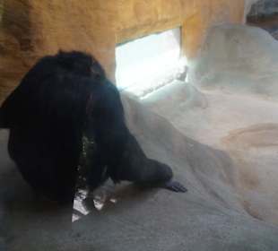 Zoo Arche Noah Grömitz