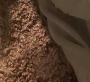 Alles für Nase und Gaumen