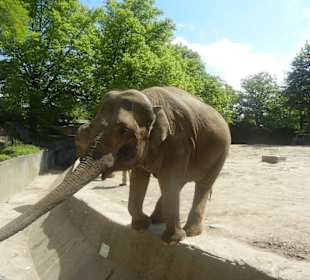 Tierpark Hagenbeck