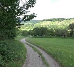 Wanderweg Ammerbucher Gigeleswegle
