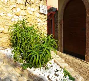 Begrünung am Burgberg