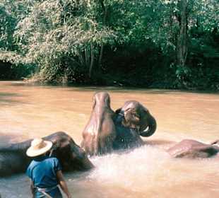 Elefantencamp