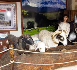 Evrenseki Kulturhaus 